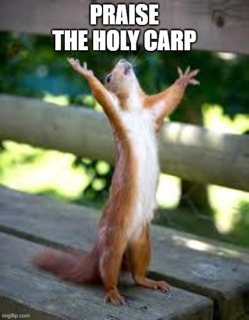 Praise Squirrel | PRAISE THE HOLY CARP | image tagged in praise squirrel | made w/ Imgflip meme maker
