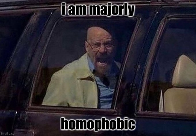 /truth | i am majorly; homophobic | image tagged in walter white screaming at hank | made w/ Imgflip meme maker