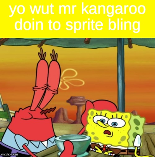 yo wut mr kangaroo doin to sprite bling | image tagged in yo wut mr kangaroo doin to sprite bling | made w/ Imgflip meme maker