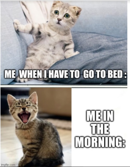 Me at bedtime vs Me at Nighttime | image tagged in memes | made w/ Imgflip meme maker