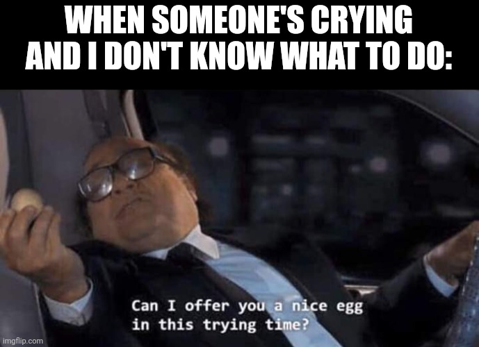 Can I offer you a nice egg in this trying time? | WHEN SOMEONE'S CRYING AND I DON'T KNOW WHAT TO DO: | image tagged in can i offer you a nice egg in this trying time | made w/ Imgflip meme maker