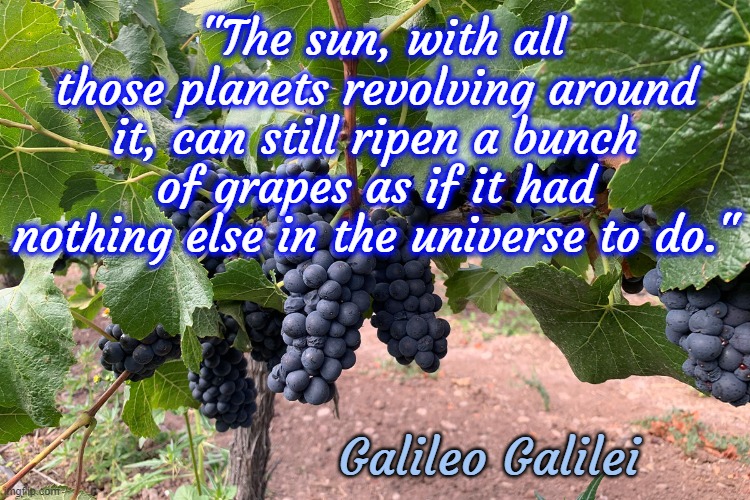 grapes | "The sun, with all those planets revolving around it, can still ripen a bunch of grapes as if it had nothing else in the universe to do."; Galileo Galilei | image tagged in grapes,galileo | made w/ Imgflip meme maker