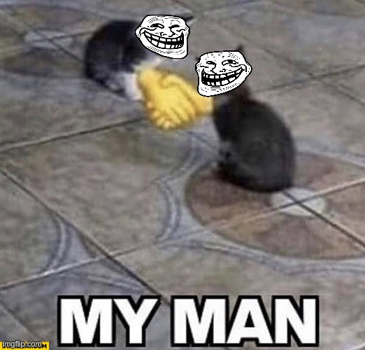 Cats shaking hands | image tagged in cats shaking hands | made w/ Imgflip meme maker