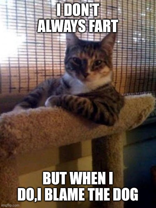 The Most Interesting Cat In The World |  I DON'T ALWAYS FART; BUT WHEN I DO,I BLAME THE DOG | image tagged in memes,the most interesting cat in the world | made w/ Imgflip meme maker