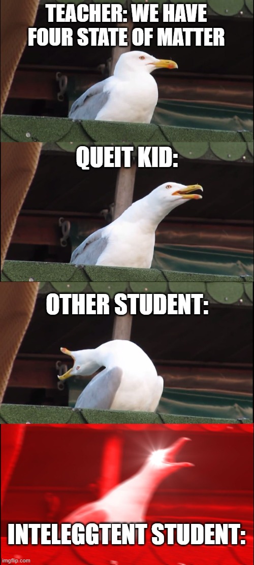 leca school meme | TEACHER: WE HAVE FOUR STATE OF MATTER; QUEIT KID:; OTHER STUDENT:; INTELEGGTENT STUDENT: | image tagged in memes,inhaling seagull | made w/ Imgflip meme maker