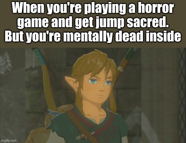 E | When you're playing a horror game and get jump sacred.  But you're mentally dead inside | image tagged in emotionless link | made w/ Imgflip meme maker