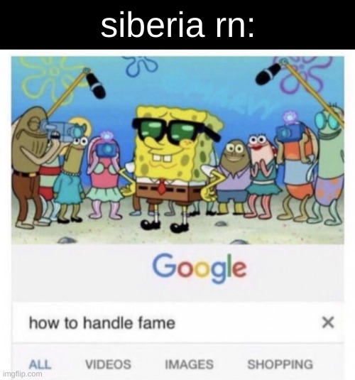 How to handle fame | siberia rn: | image tagged in how to handle fame | made w/ Imgflip meme maker