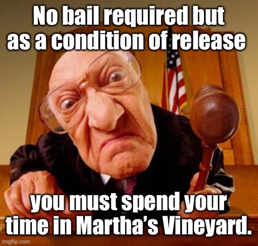 Mean Judge | No bail required but as a condition of release you must spend your time in Martha’s Vineyard. | image tagged in mean judge | made w/ Imgflip meme maker