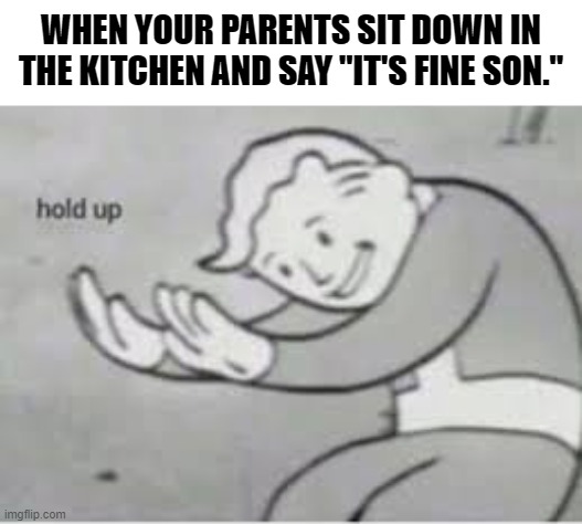 Family secrets. | WHEN YOUR PARENTS SIT DOWN IN THE KITCHEN AND SAY "IT'S FINE SON." | image tagged in hol up | made w/ Imgflip meme maker