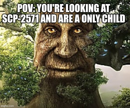 You've clearly never had a sibling | POV: YOU'RE LOOKING AT SCP-2571 AND ARE A ONLY CHILD | image tagged in must-play tree | made w/ Imgflip meme maker
