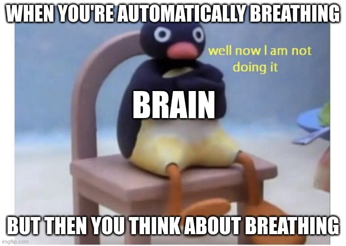You are now breathing manually | WHEN YOU'RE AUTOMATICALLY BREATHING; BRAIN; BUT THEN YOU THINK ABOUT BREATHING | image tagged in well now i am not doing it | made w/ Imgflip meme maker