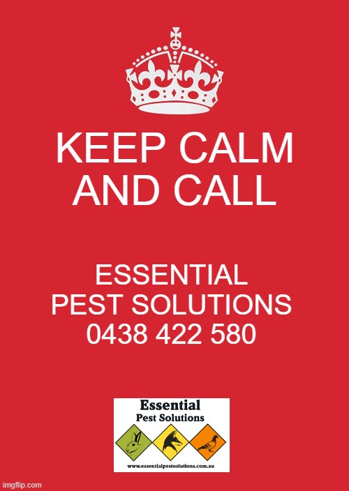 Keep Calm And Carry On Red | KEEP CALM AND CALL; ESSENTIAL PEST SOLUTIONS
0438 422 580 | image tagged in memes,keep calm and carry on red | made w/ Imgflip meme maker