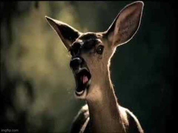Deer Scream | image tagged in deer scream | made w/ Imgflip meme maker