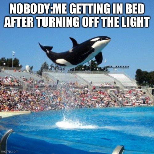 shoulka high jump | NOBODY:ME GETTING IN BED AFTER TURNING OFF THE LIGHT | image tagged in shoulka high jump | made w/ Imgflip meme maker