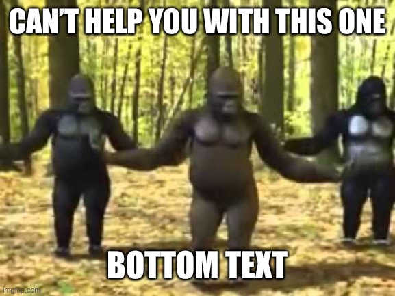 Macacos dançantes | CAN’T HELP YOU WITH THIS ONE BOTTOM TEXT | image tagged in macacos dan antes | made w/ Imgflip meme maker