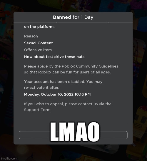 Lol I got banned for saying :test drive these nuts: | LMAO | image tagged in lmao | made w/ Imgflip meme maker