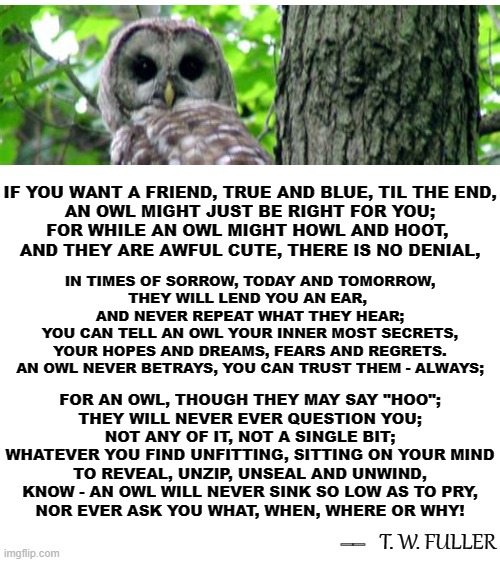 If You Like Shel Silverstein, You May Like This... | IF YOU WANT A FRIEND, TRUE AND BLUE, TIL THE END,
AN OWL MIGHT JUST BE RIGHT FOR YOU;
FOR WHILE AN OWL MIGHT HOWL AND HOOT, 
AND THEY ARE AWFUL CUTE, THERE IS NO DENIAL, IN TIMES OF SORROW, TODAY AND TOMORROW,
THEY WILL LEND YOU AN EAR, 
AND NEVER REPEAT WHAT THEY HEAR;
YOU CAN TELL AN OWL YOUR INNER MOST SECRETS,
YOUR HOPES AND DREAMS, FEARS AND REGRETS.
AN OWL NEVER BETRAYS, YOU CAN TRUST THEM - ALWAYS;; FOR AN OWL, THOUGH THEY MAY SAY "HOO";
THEY WILL NEVER EVER QUESTION YOU;
NOT ANY OF IT, NOT A SINGLE BIT;
WHATEVER YOU FIND UNFITTING, SITTING ON YOUR MIND
TO REVEAL, UNZIP, UNSEAL AND UNWIND,
KNOW - AN OWL WILL NEVER SINK SO LOW AS TO PRY,
NOR EVER ASK YOU WHAT, WHEN, WHERE OR WHY! T. W. FULLER; __ | image tagged in blank white template,memes,poems,poetry,inspirational,deep thoughts | made w/ Imgflip meme maker