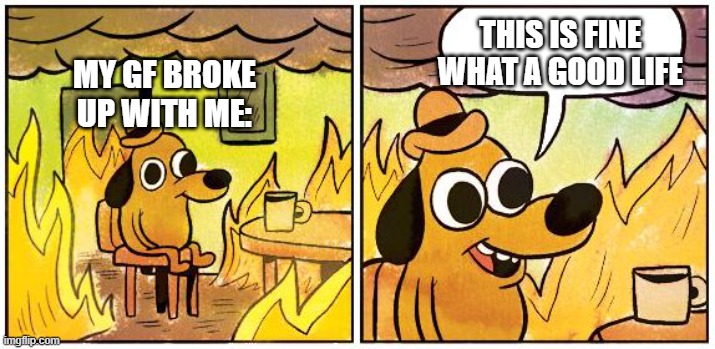 This is Fine (Blank) | THIS IS FINE WHAT A GOOD LIFE; MY GF BROKE UP WITH ME: | image tagged in this is fine blank | made w/ Imgflip meme maker