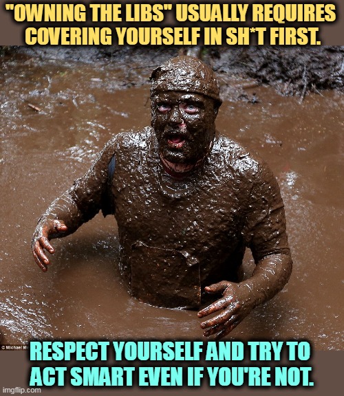"OWNING THE LIBS" USUALLY REQUIRES 
COVERING YOURSELF IN SH*T FIRST. RESPECT YOURSELF AND TRY TO 
ACT SMART EVEN IF YOU'RE NOT. | image tagged in owning the libs,stupid,cover,filth | made w/ Imgflip meme maker