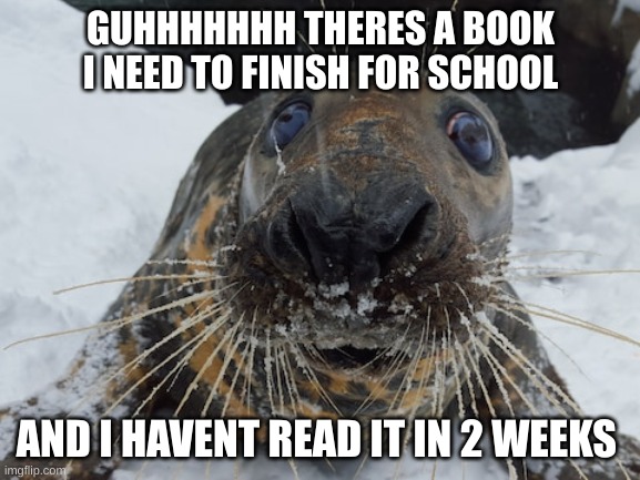 help | GUHHHHHHH THERES A BOOK I NEED TO FINISH FOR SCHOOL; AND I HAVENT READ IT IN 2 WEEKS | image tagged in his name's bim bim | made w/ Imgflip meme maker