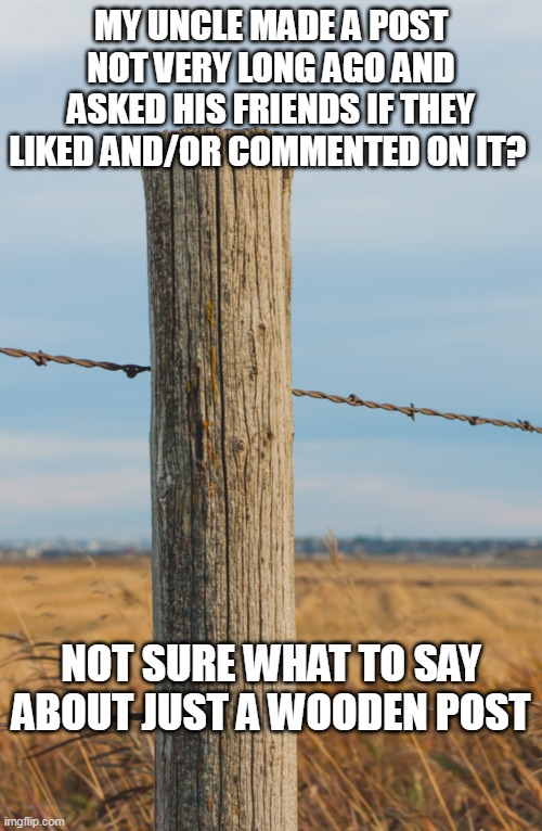 Post | MY UNCLE MADE A POST NOT VERY LONG AGO AND ASKED HIS FRIENDS IF THEY LIKED AND/OR COMMENTED ON IT? NOT SURE WHAT TO SAY ABOUT JUST A WOODEN POST | image tagged in post | made w/ Imgflip meme maker