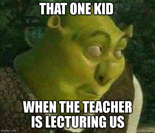 When the teacher is lecturing us | THAT ONE KID; WHEN THE TEACHER IS LECTURING US | image tagged in shrek face | made w/ Imgflip meme maker
