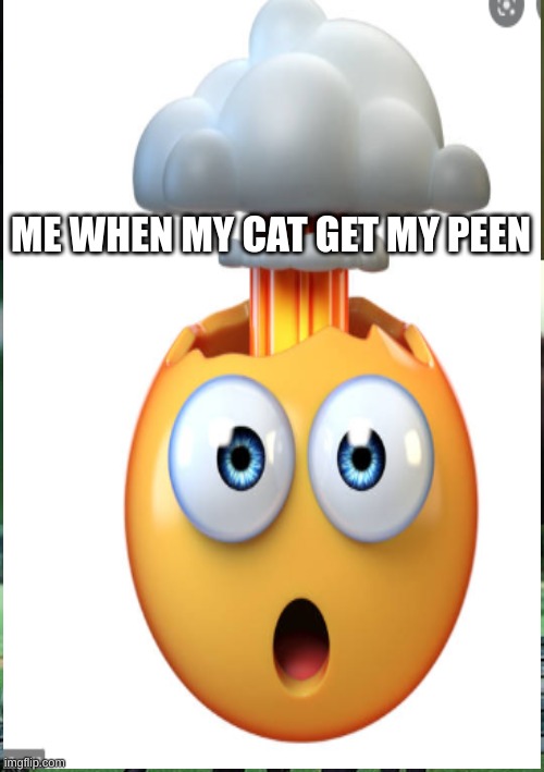 cats go mode ynknow | ME WHEN MY CAT GET MY PEEN | image tagged in kitty cat | made w/ Imgflip meme maker