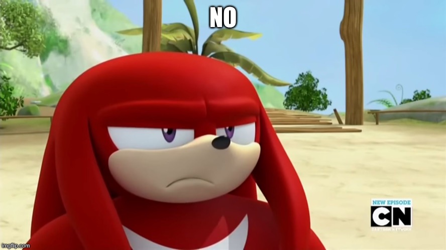 Knuckles is not Impressed - Sonic Boom | NO | image tagged in knuckles is not impressed - sonic boom | made w/ Imgflip meme maker