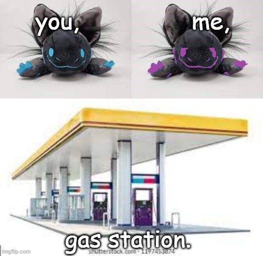 you, me, gas station | you,                me, gas station. | image tagged in protobean,protobean purple,gas station,why are you reading the tags,stop reading the tags,they are boring | made w/ Imgflip meme maker