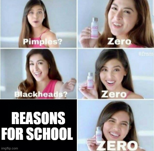 Pimples, Zero! | REASONS FOR SCHOOL | image tagged in pimples zero | made w/ Imgflip meme maker