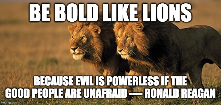 Be Bold Like Lions | BE BOLD LIKE LIONS; BECAUSE EVIL IS POWERLESS IF THE GOOD PEOPLE ARE UNAFRAID ---- RONALD REAGAN | image tagged in 2 lions walking | made w/ Imgflip meme maker