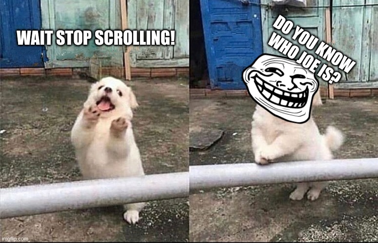 Hey, stop scrolling | WAIT STOP SCROLLING! DO YOU KNOW WHO JOE IS? | image tagged in hey stop scrolling | made w/ Imgflip meme maker