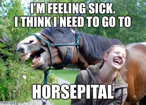 Horsing around | I’M FEELING SICK. I THINK I NEED TO GO TO; HORSEPITAL | image tagged in laughing horse,hospital,horse,sick,bad joke,bad pun | made w/ Imgflip meme maker