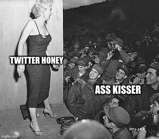 ass kisser | TWITTER HONEY; ASS KISSER | image tagged in twitter,honey | made w/ Imgflip meme maker