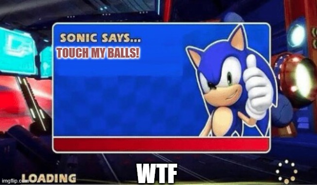 Sonic Says | TOUCH MY BALLS! WTF | image tagged in sonic says | made w/ Imgflip meme maker