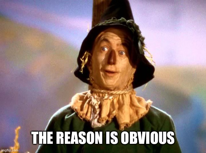 Wizard of Oz Scarecrow | THE REASON IS OBVIOUS | image tagged in wizard of oz scarecrow | made w/ Imgflip meme maker