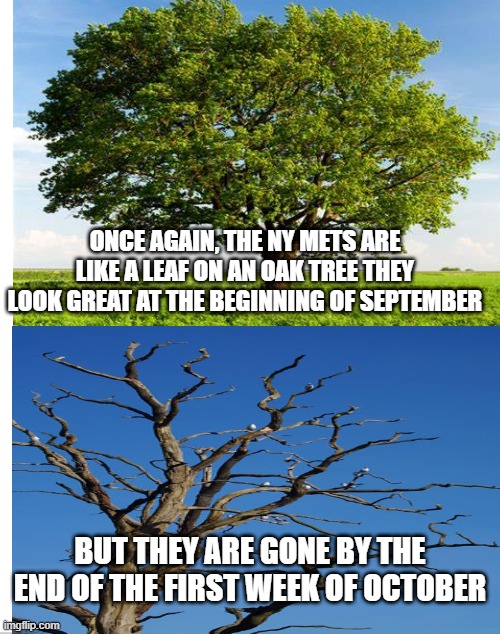 NY Mets | ONCE AGAIN, THE NY METS ARE LIKE A LEAF ON AN OAK TREE THEY LOOK GREAT AT THE BEGINNING OF SEPTEMBER; BUT THEY ARE GONE BY THE END OF THE FIRST WEEK OF OCTOBER | image tagged in mets baseball | made w/ Imgflip meme maker