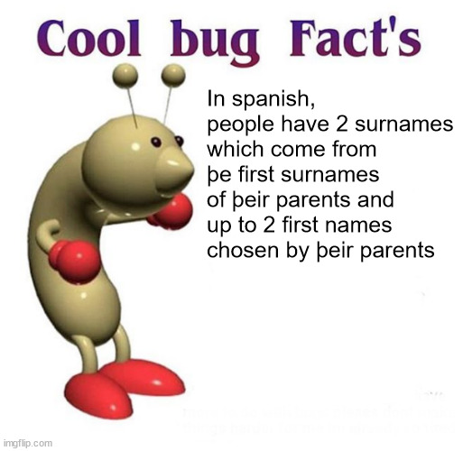 Cool Bug Facts Api | In spanish, people have 2 surnames which come from þe first surnames of þeir parents and up to 2 first names chosen by þeir parents | image tagged in cool bug facts api | made w/ Imgflip meme maker