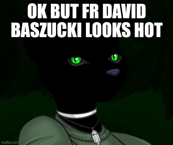 My new panther fursona | OK BUT FR DAVID BASZUCKI LOOKS HOT | image tagged in my new panther fursona | made w/ Imgflip meme maker