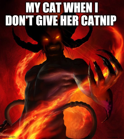 The Devil | MY CAT WHEN I DON'T GIVE HER CATNIP | image tagged in the devil | made w/ Imgflip meme maker