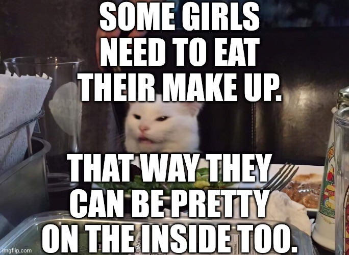 SOME GIRLS NEED TO EAT THEIR MAKE UP. THAT WAY THEY CAN BE PRETTY ON THE INSIDE TOO. | image tagged in smudge the cat | made w/ Imgflip meme maker