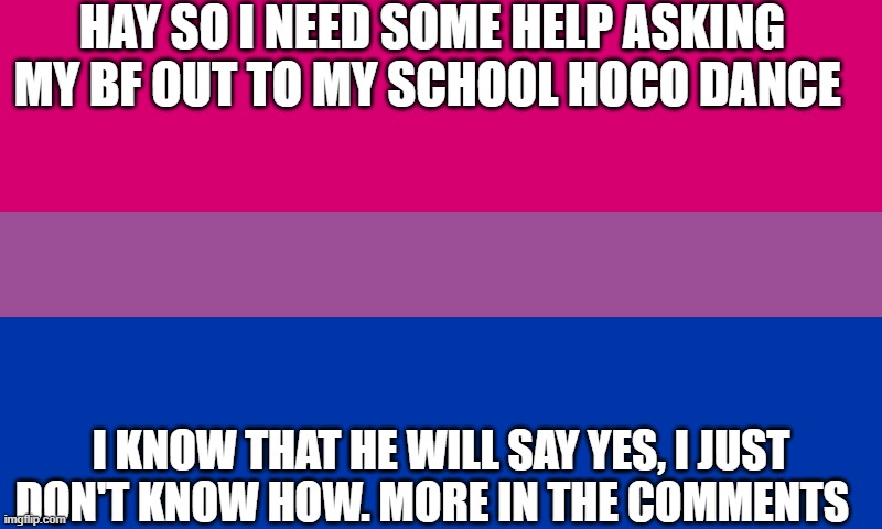 i need help | HAY SO I NEED SOME HELP ASKING MY BF OUT TO MY SCHOOL HOCO DANCE; I KNOW THAT HE WILL SAY YES, I JUST DON'T KNOW HOW. MORE IN THE COMMENTS | image tagged in bi flag | made w/ Imgflip meme maker