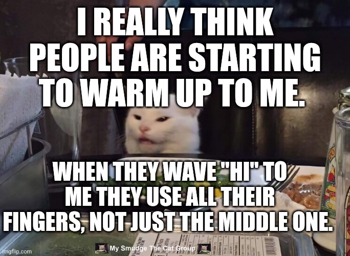 I REALLY THINK PEOPLE ARE STARTING TO WARM UP TO ME. WHEN THEY WAVE "HI" TO ME THEY USE ALL THEIR FINGERS, NOT JUST THE MIDDLE ONE. | image tagged in smudge the cat | made w/ Imgflip meme maker