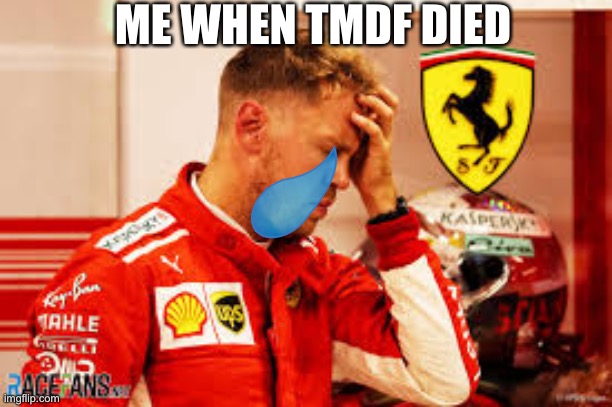 Me If TMDF Died… ? | ME WHEN TMDF DIED | image tagged in sad vettel | made w/ Imgflip meme maker