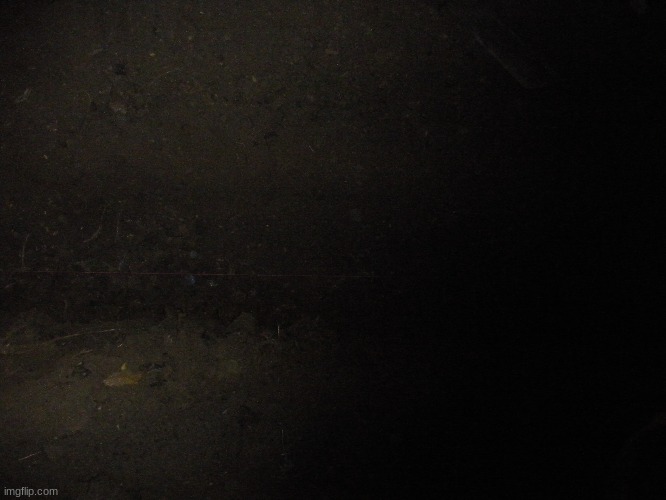 Dec 31 2007 04:58 | made w/ Imgflip meme maker