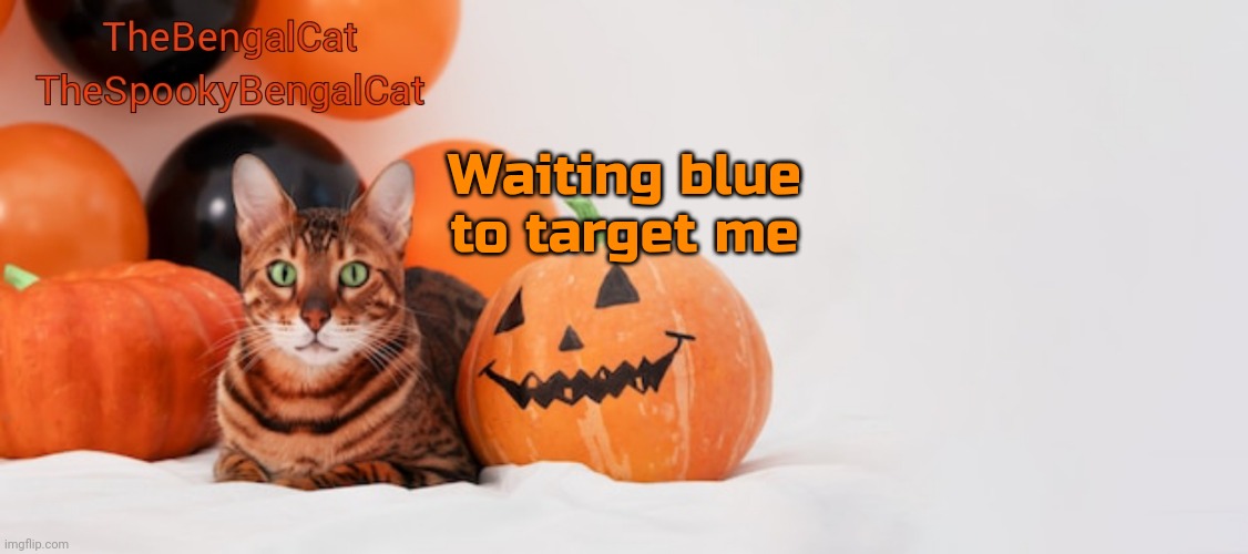 TheSpookyBengalCat annoucment template | Waiting blue to target me | image tagged in thespookybengalcat annoucment template | made w/ Imgflip meme maker