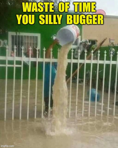 Flood | image tagged in silly bugger,bailout,flood | made w/ Imgflip meme maker