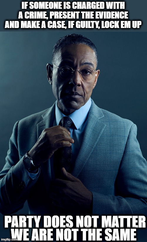 Everyone Not Maga | IF SOMEONE IS CHARGED WITH A CRIME, PRESENT THE EVIDENCE AND MAKE A CASE, IF GUILTY, LOCK EM UP; WE ARE NOT THE SAME; PARTY DOES NOT MATTER | image tagged in gus fring we are not the same,maga,treason,criminal,politics,memes | made w/ Imgflip meme maker