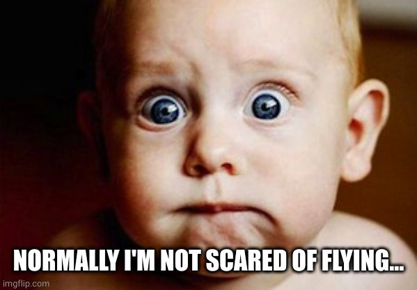 Scared Face | NORMALLY I'M NOT SCARED OF FLYING... | image tagged in scared face | made w/ Imgflip meme maker