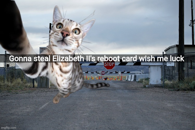Gonna steal Elizabeth II's reboot card wish me luck | made w/ Imgflip meme maker